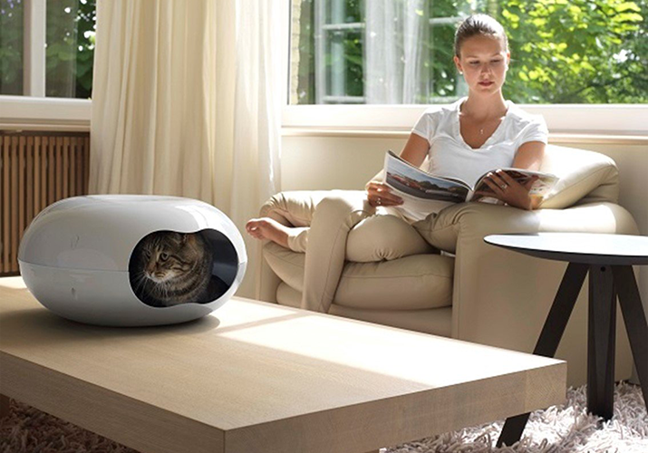 Moderna-products-doonut-livingroom